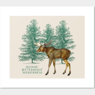 Selway-Bitterroot Wilderness Moose Trees Montana Outdoors Souvenir Posters and Art